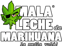 MALA LECHE CON MARIHUANA3