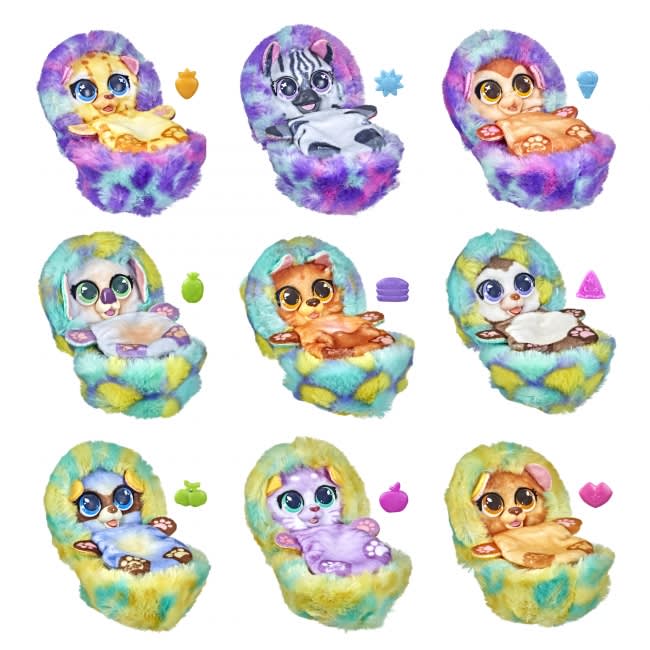 FRR ROLLIES BLIND PET1