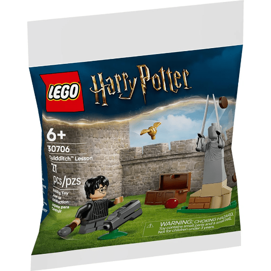 LEGO HARRY POTTER CLASE DE QUIDDITCH™ 0