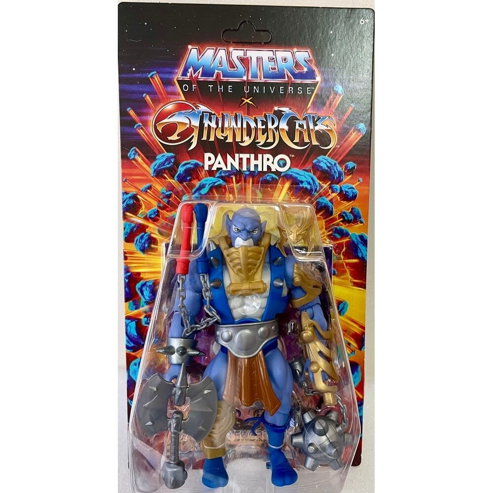 Masters Of The Universe X Thundercats 3