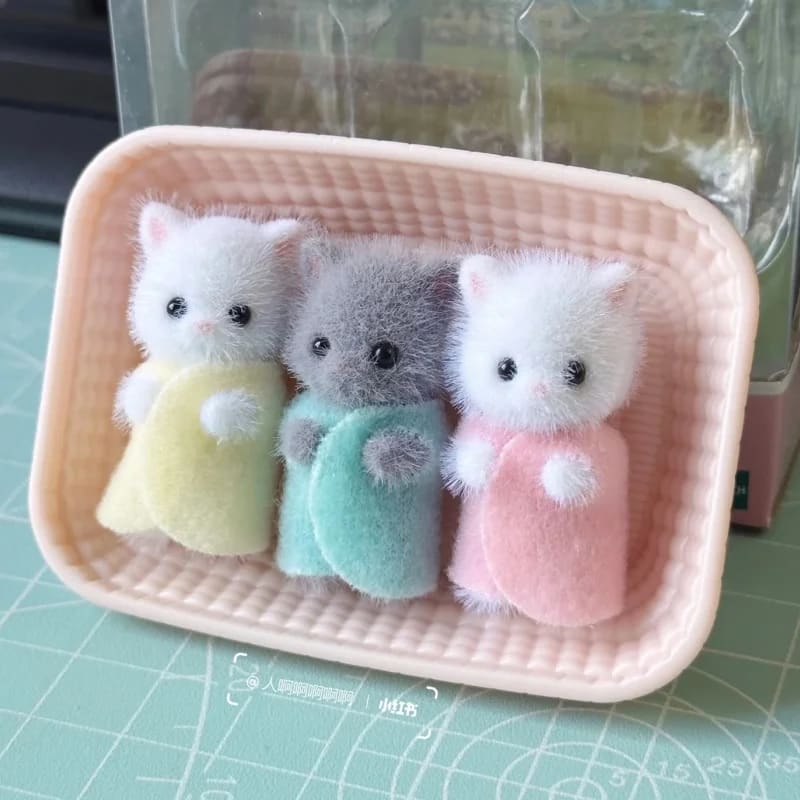 Persian Cat Triplets2