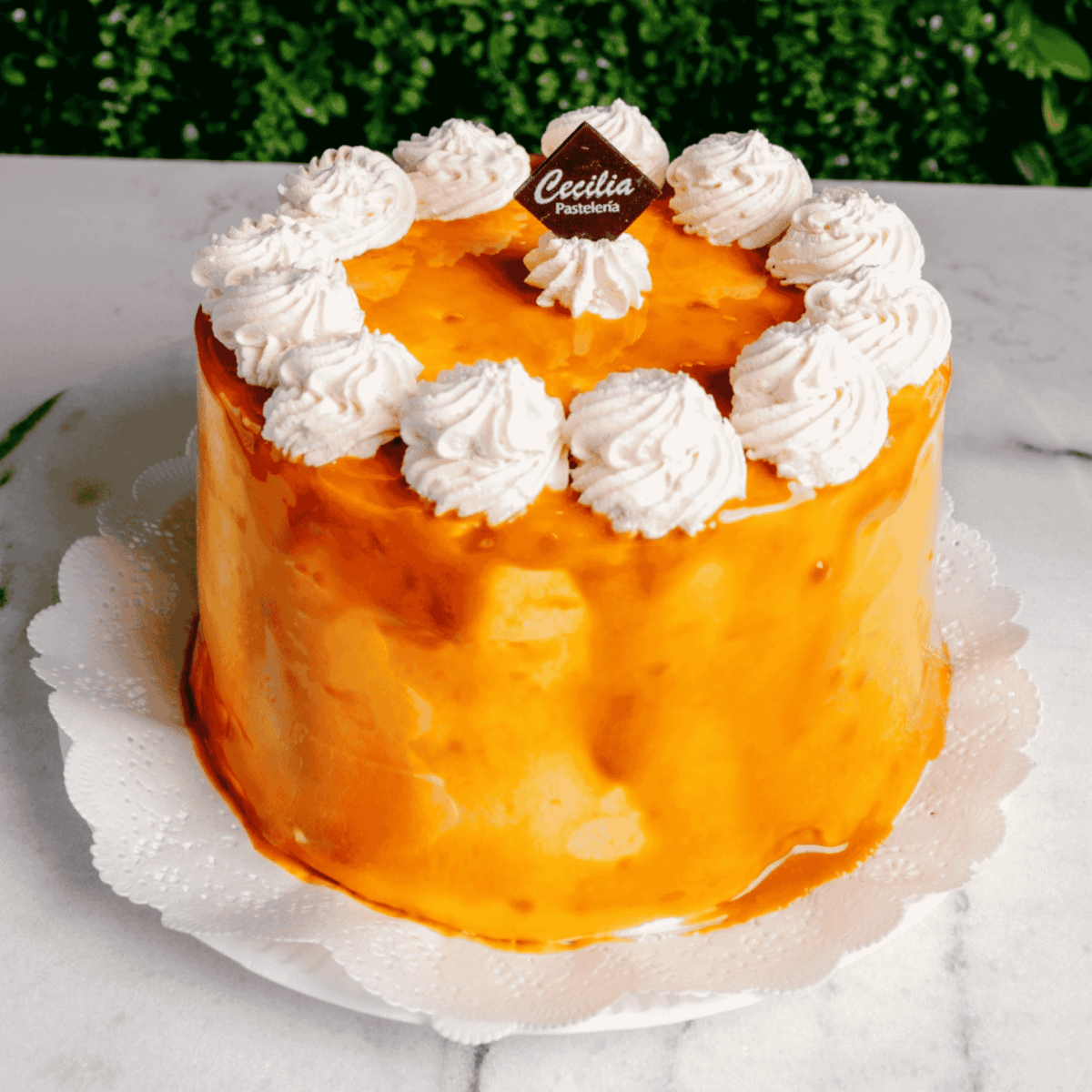 Torta Manjar1