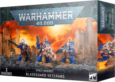Space Marines Bladeguard Veterans