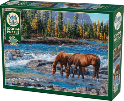 Puzzle Cobble Hill 1000 Piezas (On the Rocks)1