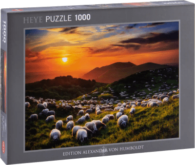 Puzzle 1000 Piezas Humboldt Heye: Sheep and Volcanoes