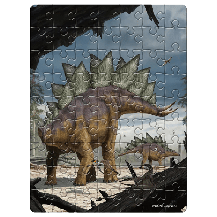 Puzzle 2D National Geographic Dinopuzzle Egg: Stegosaurus2