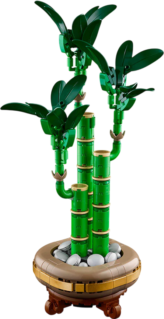 LEGO Botanicals: Bambu de la Suerte2