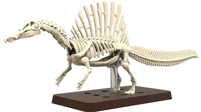 Model Kit Bandai Hobby: Plannosaurus Spinosaurus3