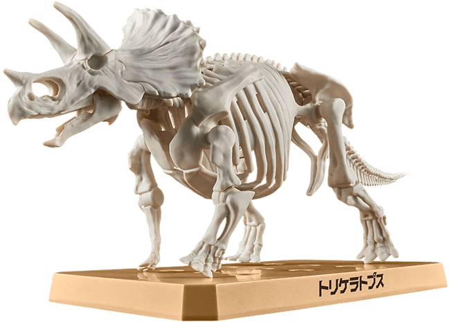 Model Kit Bandai Hobby: Plannosaurus Triceratops3