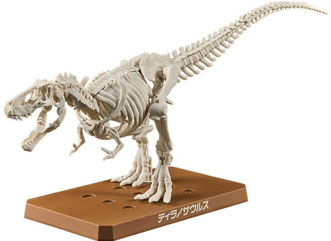 Model Kit Bandai Hobby: Plannosaurus Tyrannosaurus3