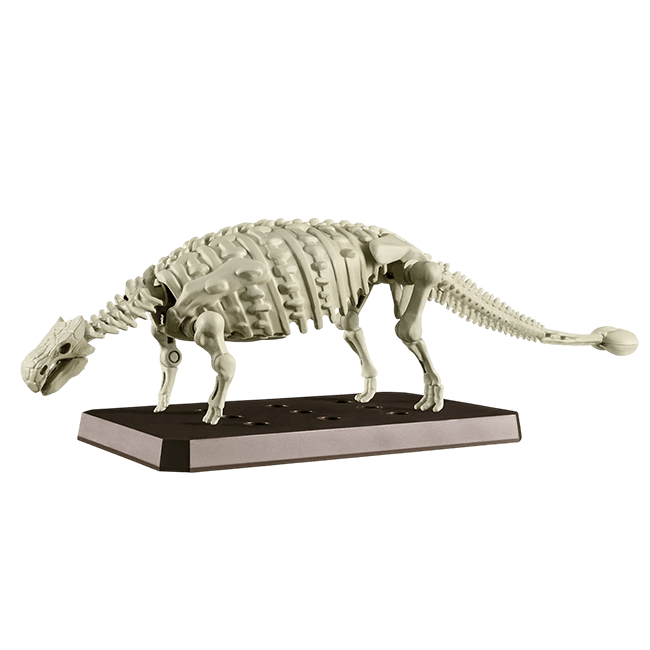 Model Kit Bandai Hobby: Plannosaurus Ankylosaurus3