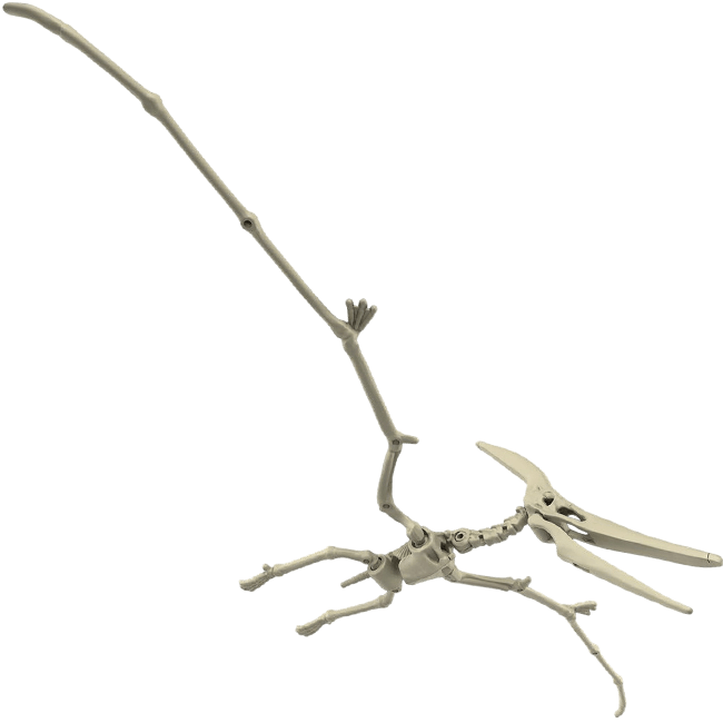 Model Kit Bandai Hobby: Plannosaurus Pteranodon3