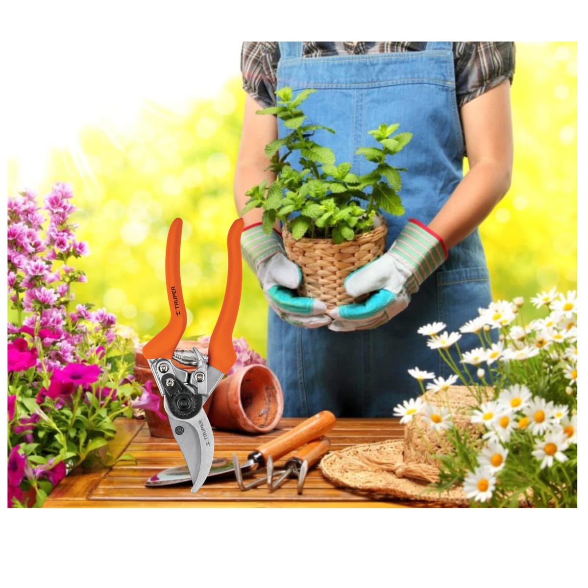 Tijera de poda 8 cuchilla de paso cosecha de frutas - Truper2