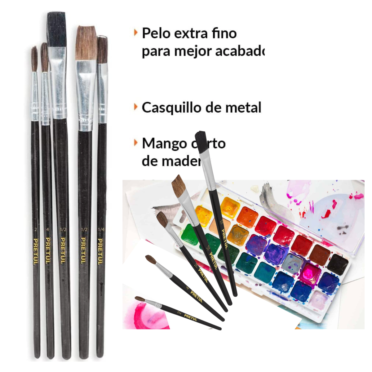 Juego de pinceles 5 piezas, Pretul2