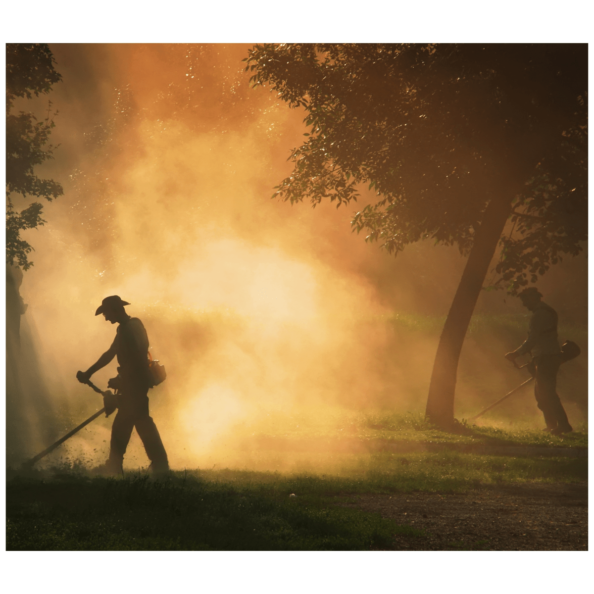 Desbrozadora podadora motoguadaña 2HP gasolina 18 Pulgada Truper6