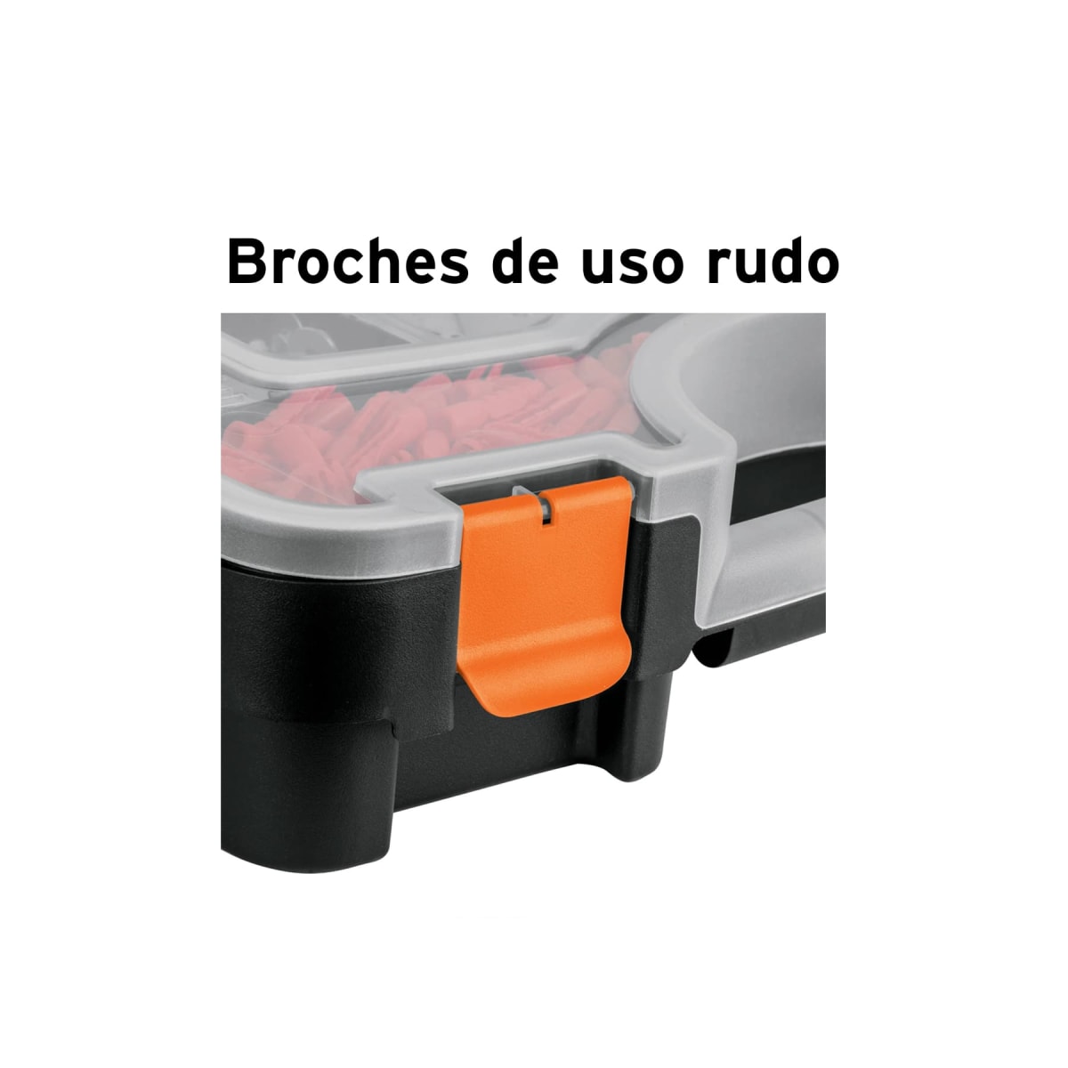 ORGANIZADOR 11