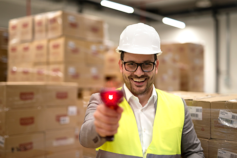 Llegada Bsale México