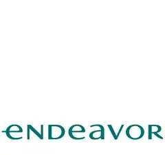 Logo Endeavor