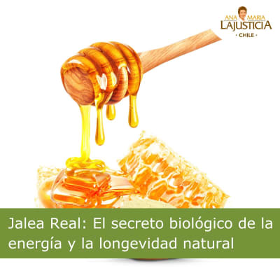 Jalea Real: El secreto biológico de la energía y la longevidad natural