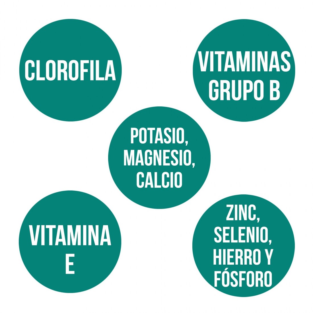 ESPIRULINA5