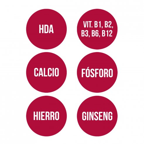 GINSENG CON JALEA REAL (60 cap.)5