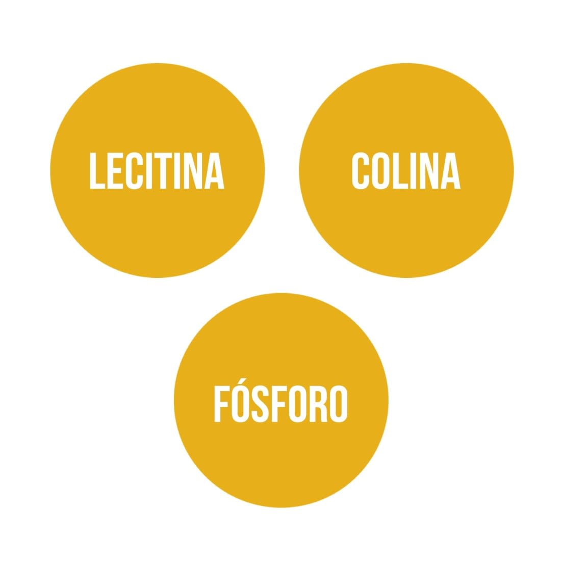 LECITINA DE SOJA (300 perlas)4