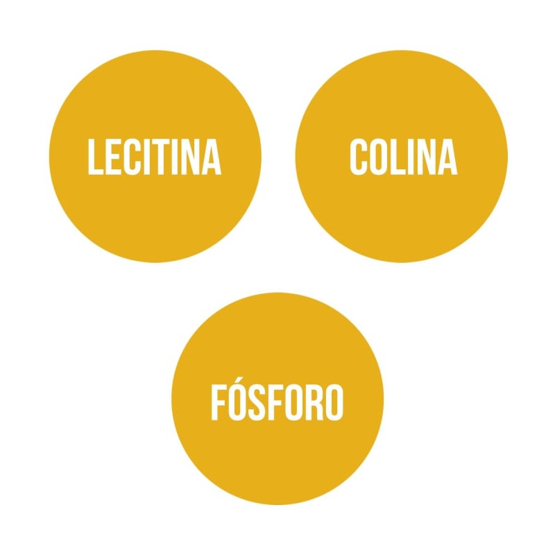 LECITINA DE SOJA (90 perlas)5