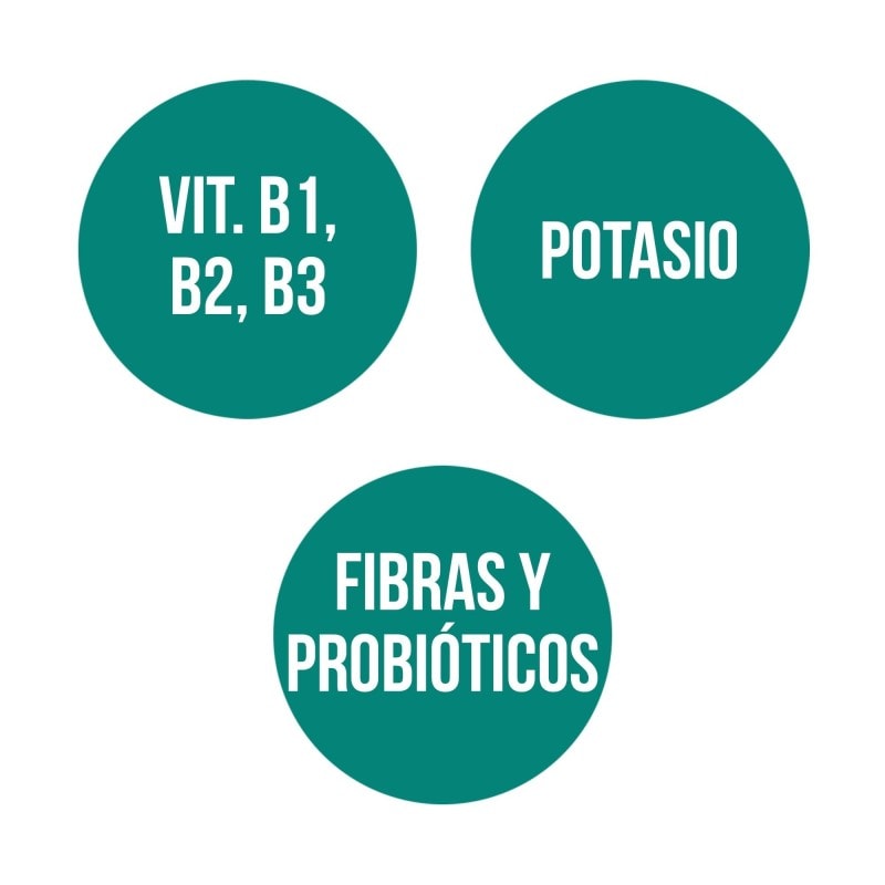 LEVADURA DE CERVEZA (80 comp.)5