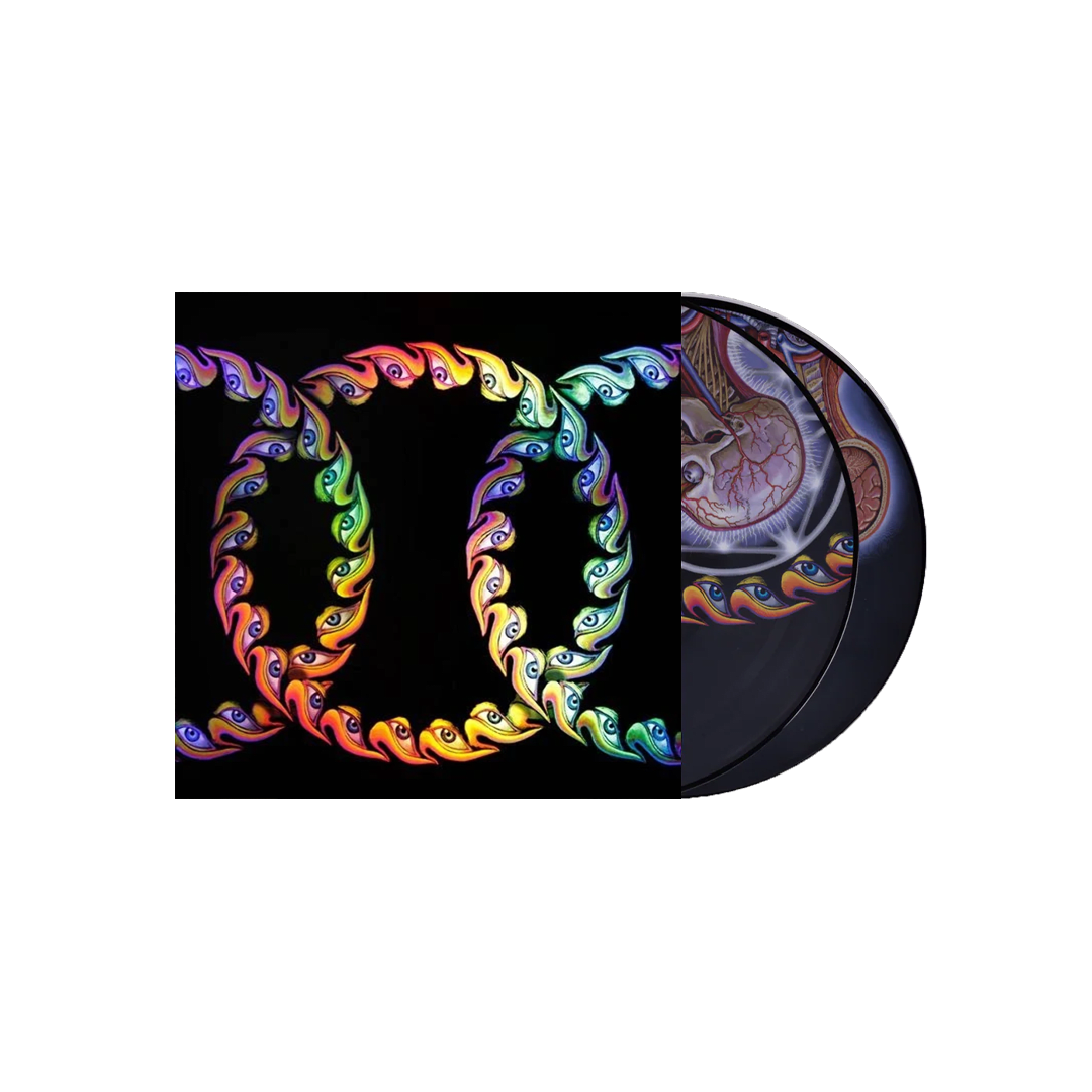 Tool - Lateralus [2LP] (Picture Disc) | Prisma Music - Discos de