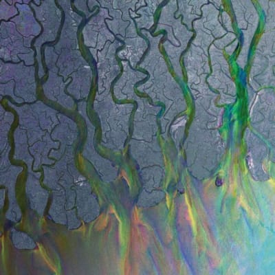 Alt-J - An Awesome Wave [LP]1
