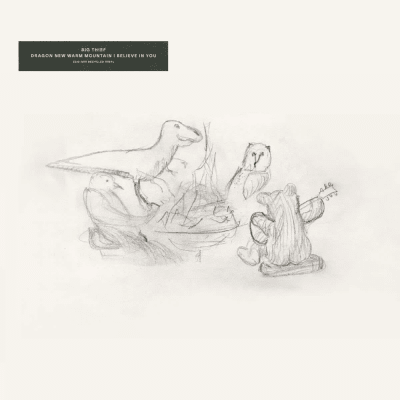 Big Thief - Dragon New Warm Mountain I Believe In You [2LP]