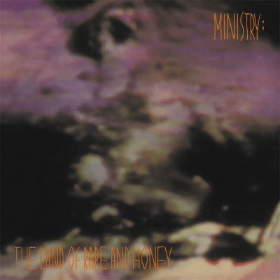 Ministry - The Land of Rape & Hony [LP] (Music On Vinyl)1