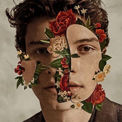 Shawn Mendes - Shawn Mendes [LP]1