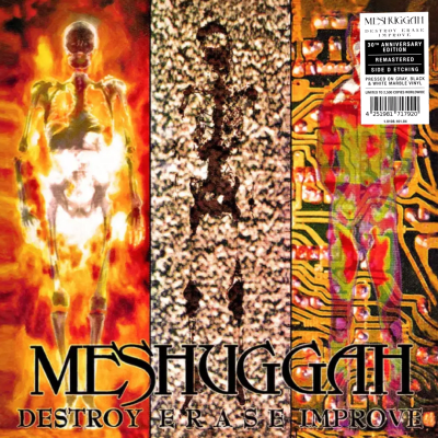 Meshuggah - Destroy Erase Improve (2LP) (Gray, Black White Marble Vinyl, 30th Anniversary)