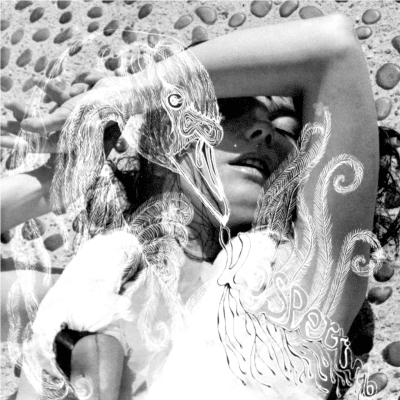 Bjork - Vespertine [2LP]1
