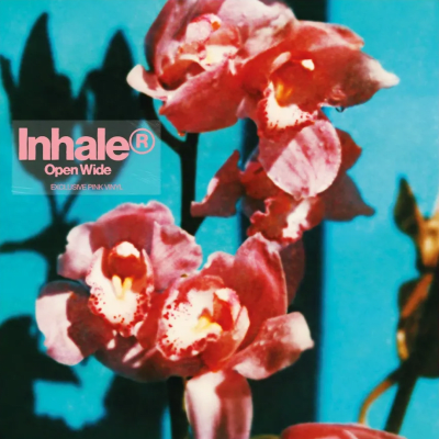 Inhaler - Open Wide [LP] (Pink Vinyl)