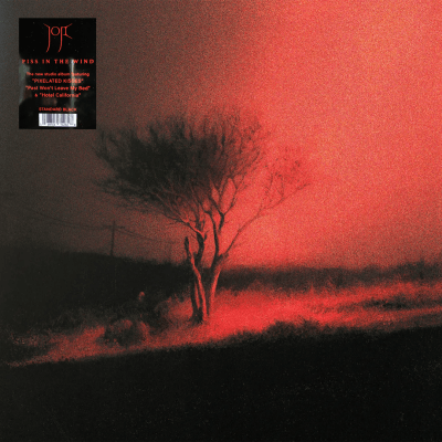 Joji - Piss In The Wind [LP]1