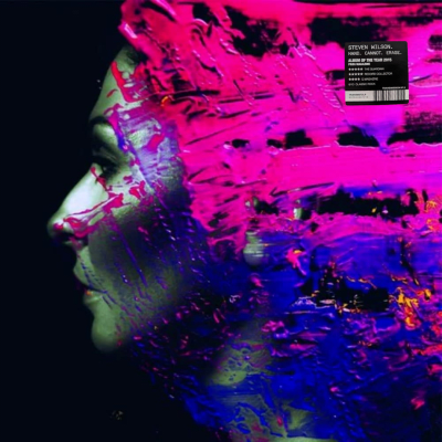 Steven Wilson - Hand. Cannot. Erase [2LP]1