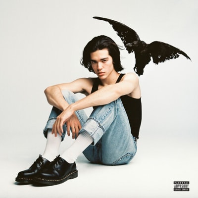 Conan Gray - Kid Krow [LP] (Gray Transparent & Black Marbled Vinyl)1