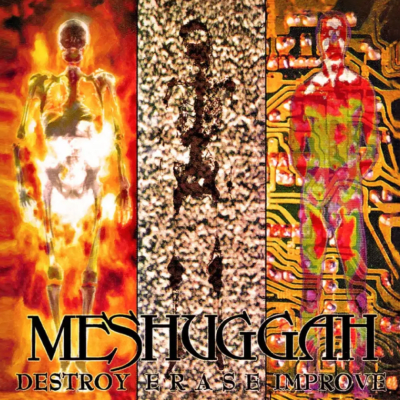 Meshuggah - Destroy Erase Improve (2LP) (Gray, Black White Marble Vinyl, 30th Anniversary)1