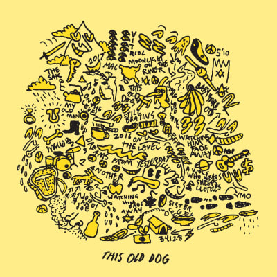 Mac DeMarco - This Old Dog [LP]1