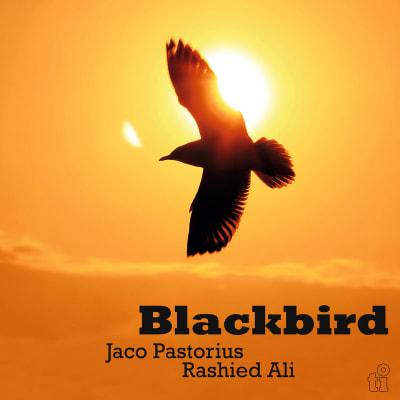 Jaco Pastorius, Rashied Ali - Blackbird [LP] (Green Vinyl)1