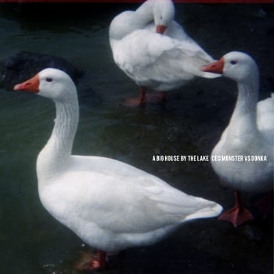 Cecimonster Vs. Donka - A Big House By The Lake [LP]1