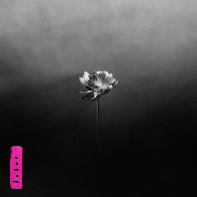 Little Simz - Lotus [2LP] (Electric Pink Splatter Vinyl, Limited, Indie-Retail Exclusive)1