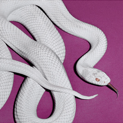 Deftones - Private Music [CD] (Alternate Cover)1