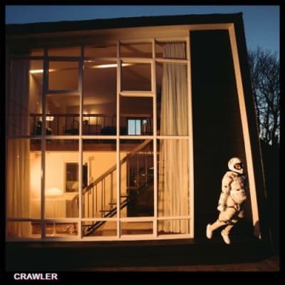 IDLES - Crawler [LP] (Unique Color Eco-Mix Vinyl)1