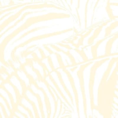 Beach House - Teen Dream [2LP]1