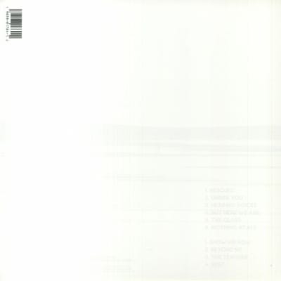 Foo Fighters - But Here We Are [LP]