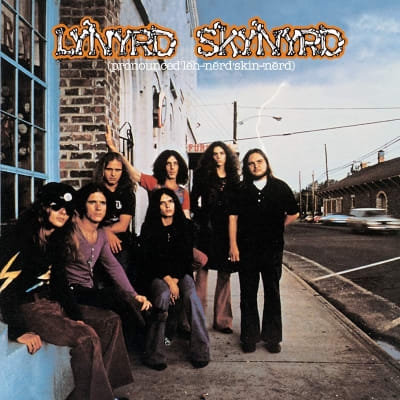 Lynyrd Skynyrd - (pronounced'l?h-'nérd'skin-'nérd) [2LP] (Audiophile Vinyl, 45RPM, HeavyWeight, Gatefold)1