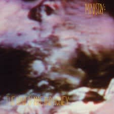 Ministry - The Land Of Rape And Honey [2LP] (HeavyWeight, ROCKtober 2024, Limited, Brick & Mortar Exc)1